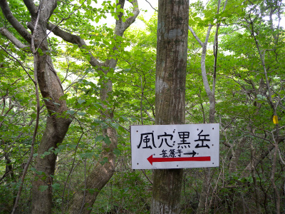 e0272335_20124687.jpg