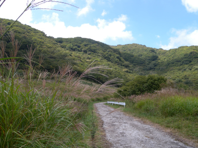 e0272335_2030482.jpg