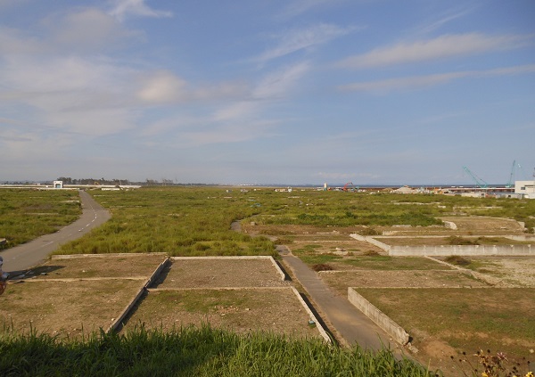 f0042737_15134748.jpg