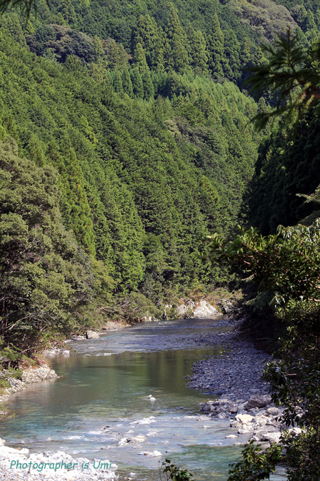e0083238_20471552.jpg