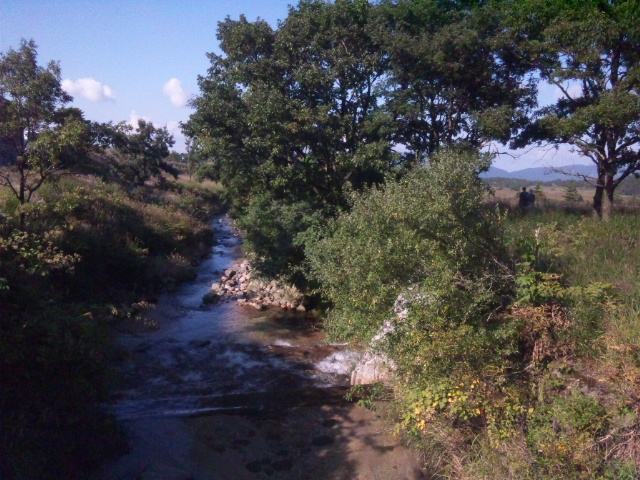 d0244839_22351312.jpg