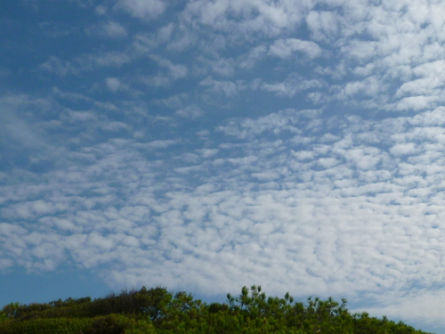 d0170140_157385.jpg