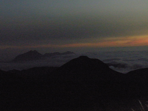 a0289641_2227491.jpg
