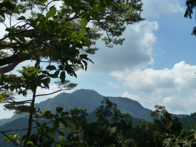 d0288144_833476.jpg