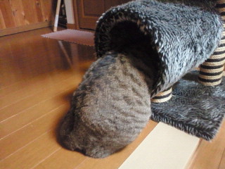 e0150849_22482466.jpg