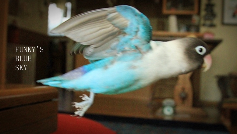 c0145250_17464632.jpg
