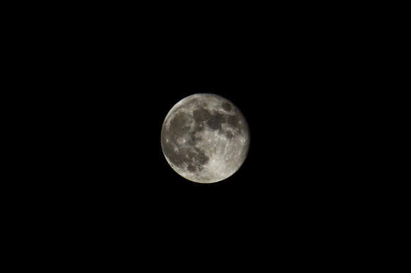 a0090451_1855998.jpg