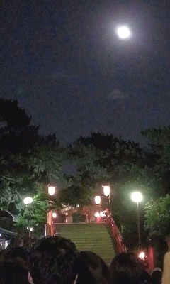 a0251851_213998.jpg