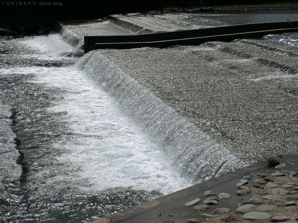 d0100156_154013100.jpg