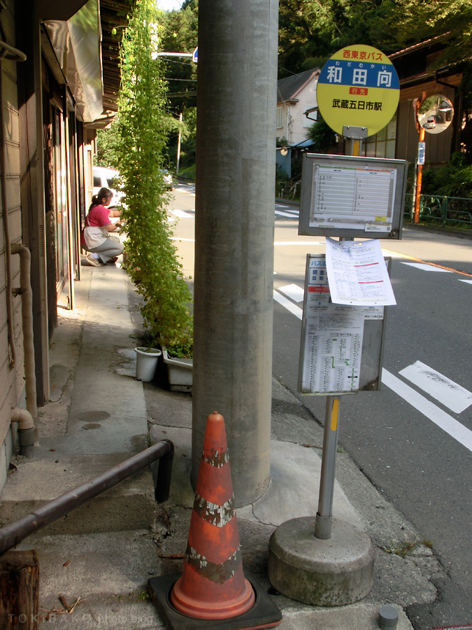 d0100156_167135.jpg