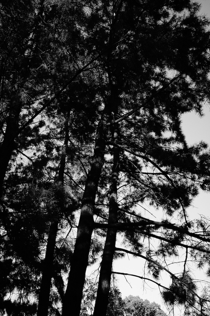 f0134963_153192.jpg