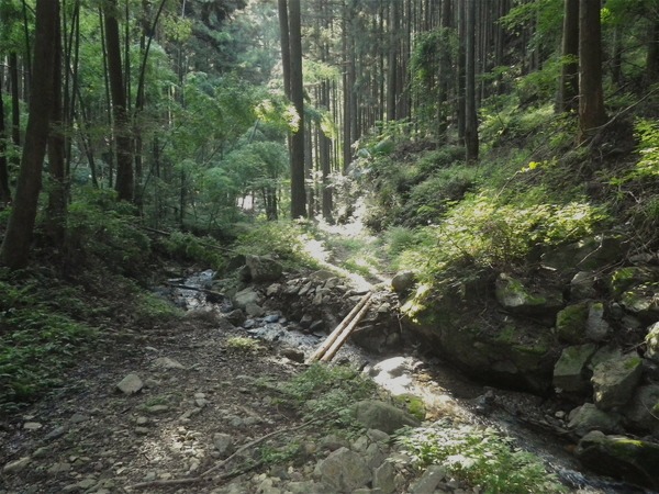 d0010065_19265740.jpg