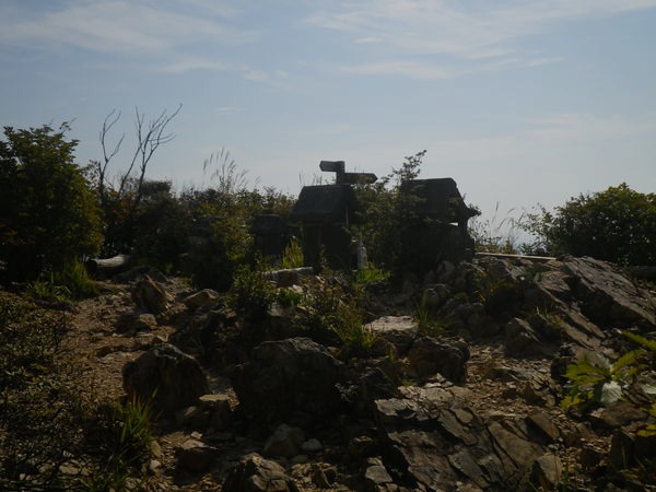 d0010065_19271554.jpg