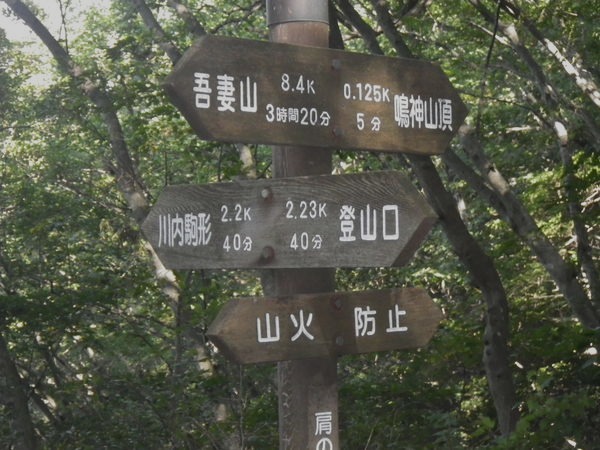 d0010065_19274086.jpg