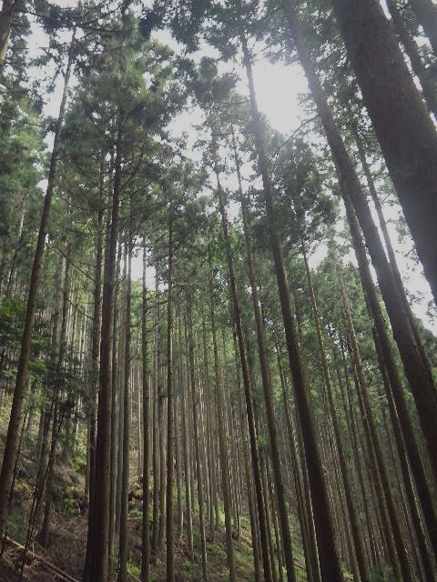 d0010065_19282191.jpg