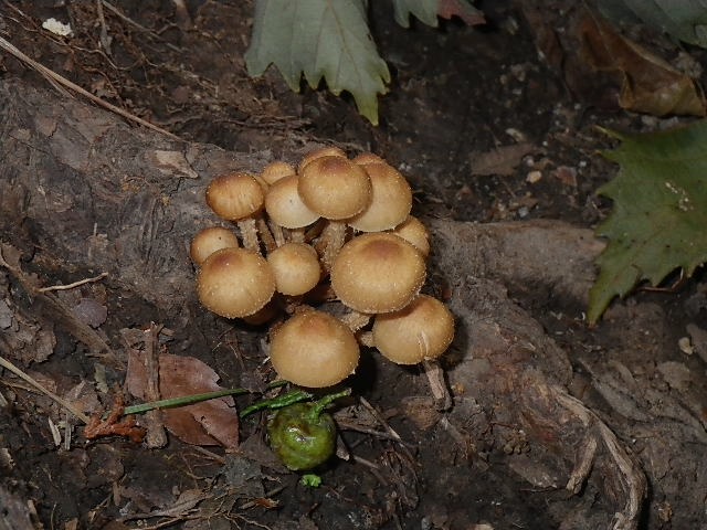 d0010065_1928398.jpg