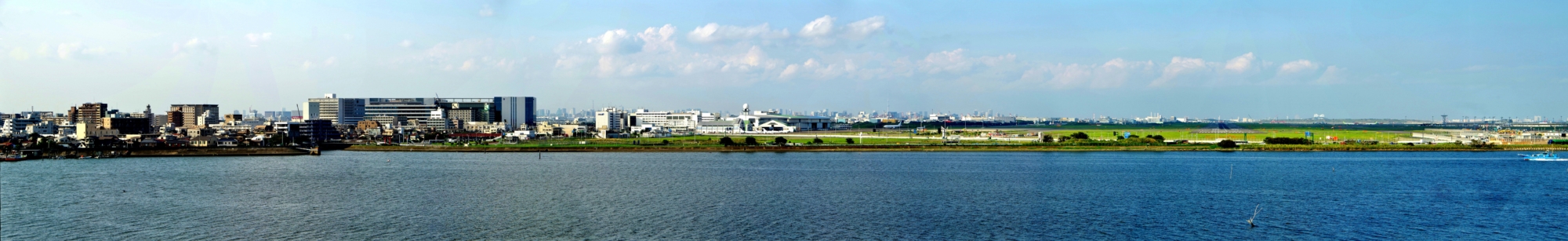 d0031171_813542.jpg