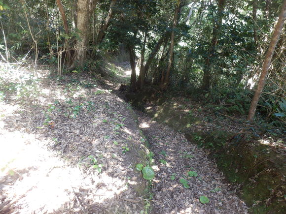 e0292172_20323440.jpg
