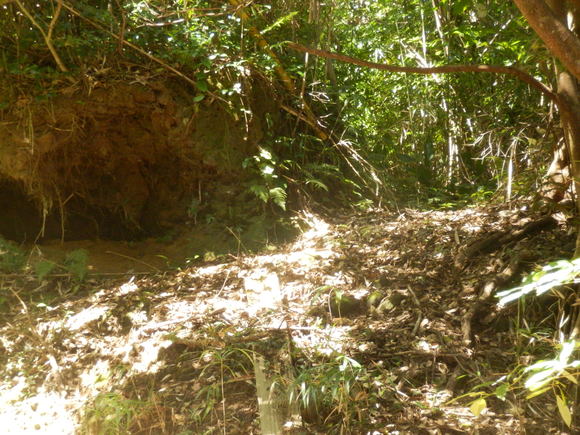 e0292172_20331015.jpg