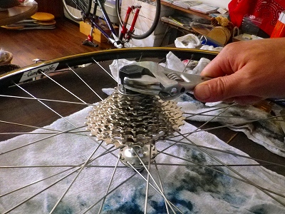 f0182173_1665929.jpg