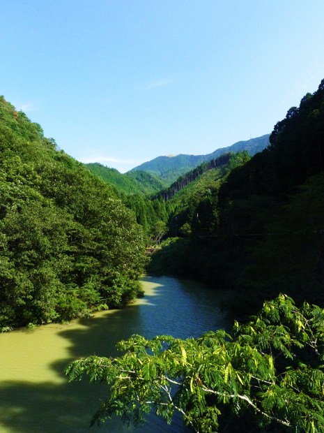 c0019376_22295732.jpg