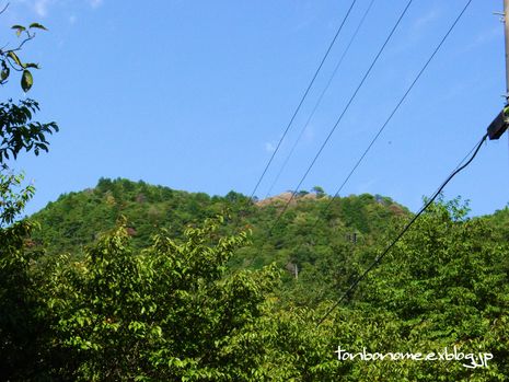 c0019376_22365025.jpg