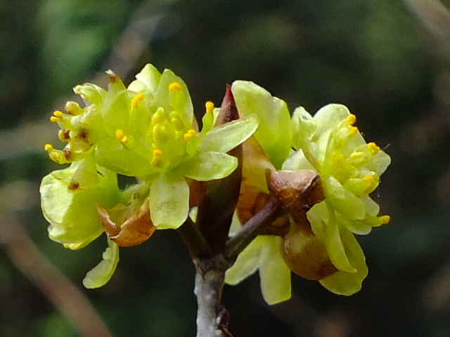 e0145782_2055191.jpg