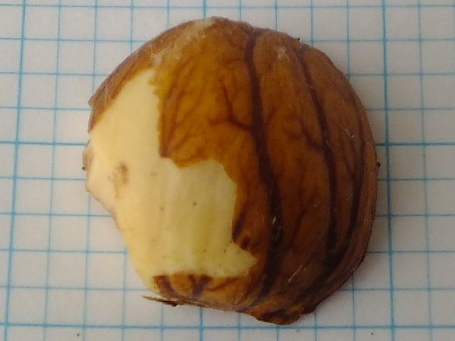 e0145782_20592167.jpg