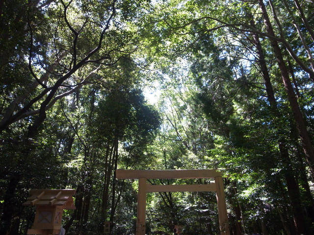 c0188784_0233256.jpg
