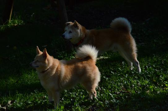 c0123890_2122080.jpg