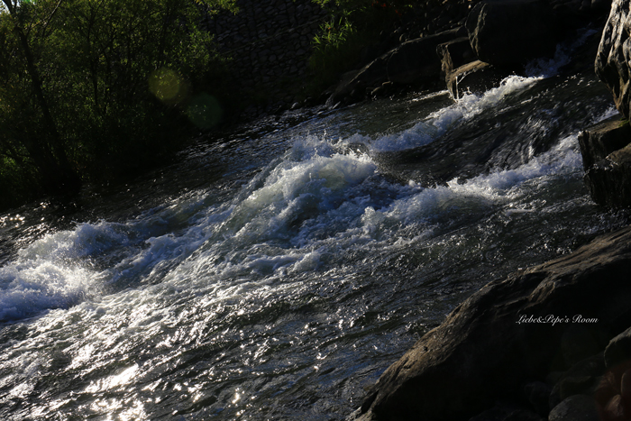 f0001895_19531145.jpg