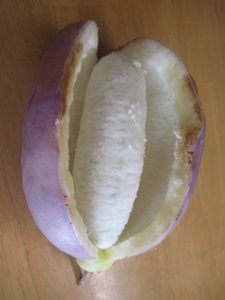f0201297_96899.jpg