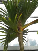 e0107304_11462437.jpg