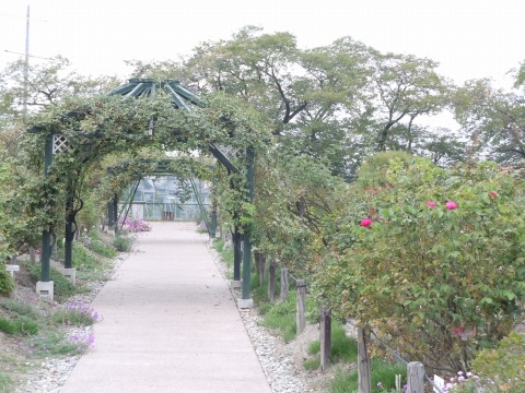 c0117007_9415318.jpg