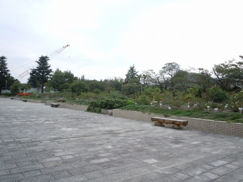 c0117007_9421598.jpg