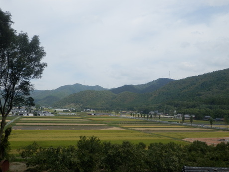 c0062511_9314051.jpg