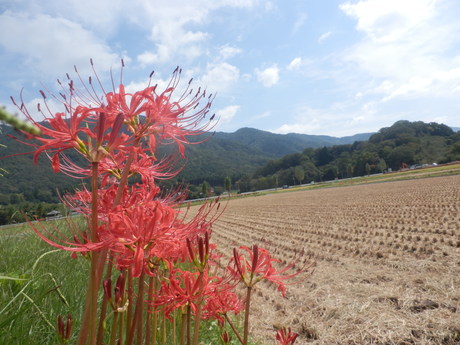 c0062511_9394180.jpg