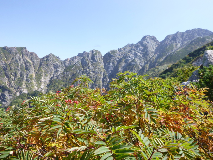 d0170615_1121272.jpg