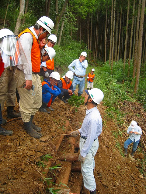 e0002820_1715285.jpg
