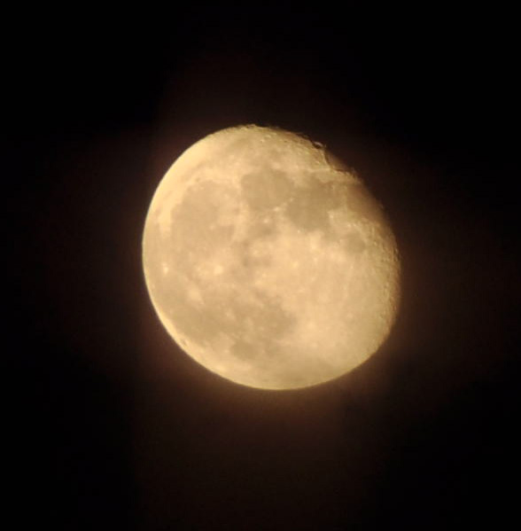 c0059521_12111422.jpg
