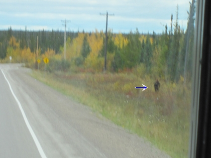 a0105023_2254758.jpg