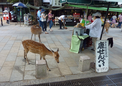 d0153627_2374191.png