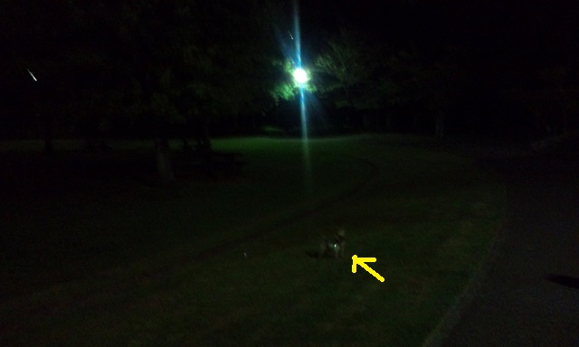 f0002833_18303556.jpg