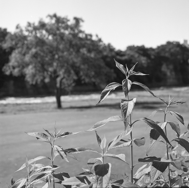 f0265234_15574517.jpg