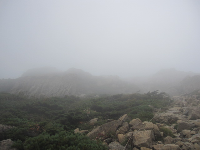 d0088735_13274137.jpg