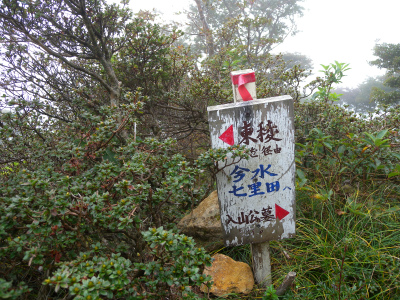 e0272335_5303797.jpg