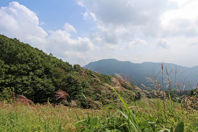 a0242438_2111237.jpg