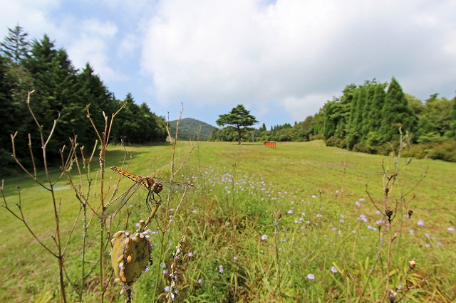 a0242438_21113146.jpg