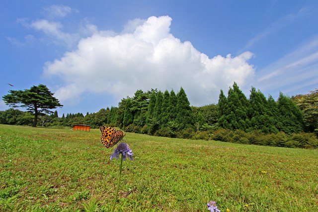 a0242438_21114095.jpg