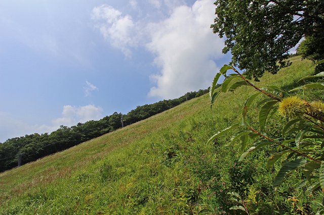 a0242438_211171.jpg